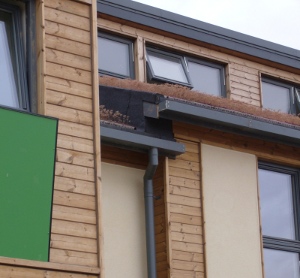 Greenhart Grove, Huntingdon